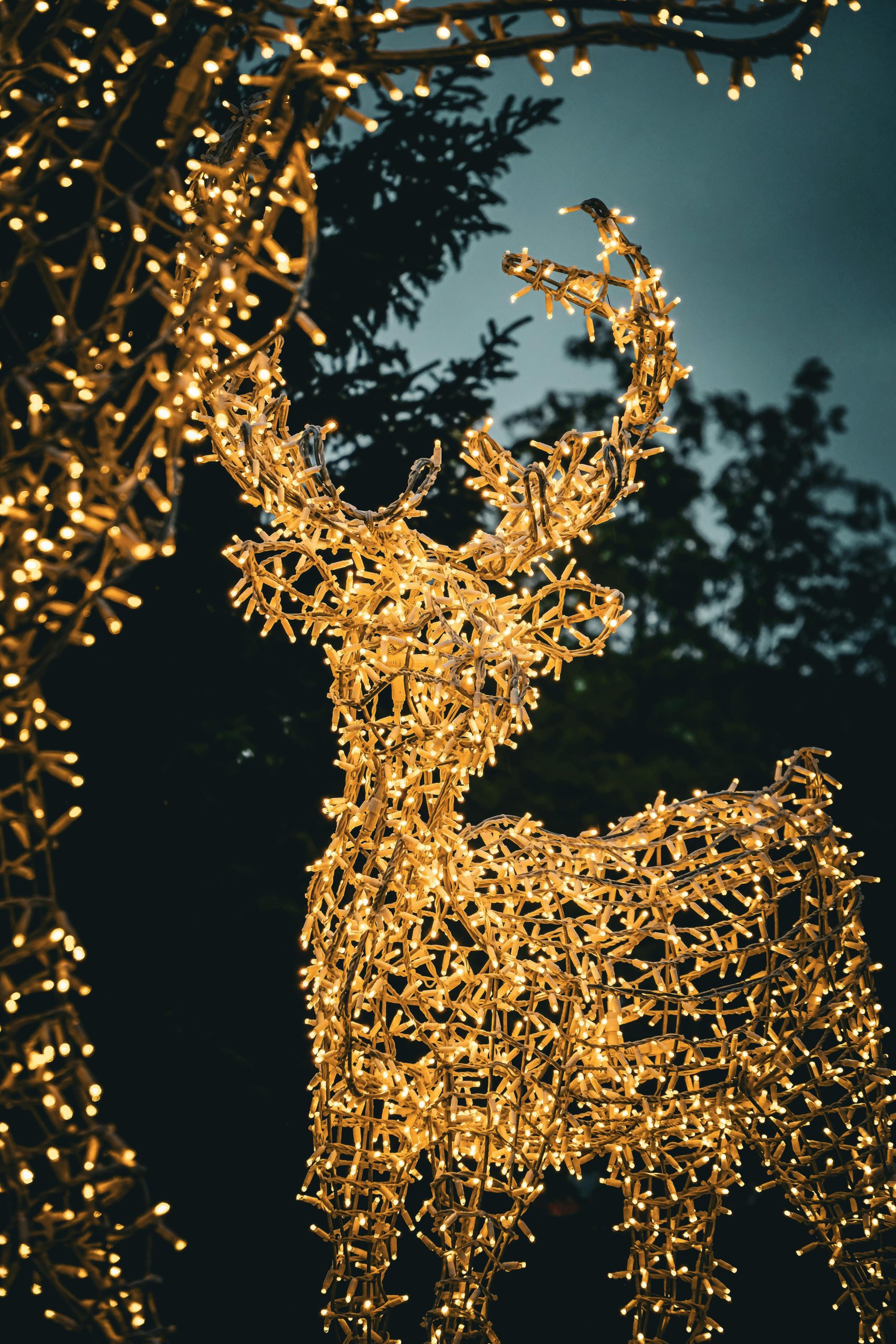 festive decorations Dubai lighting setup