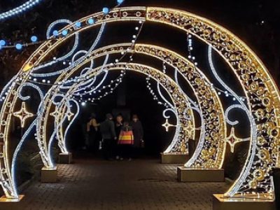 Illuminated reindeer figures and glowing trees at a festive outdoor light festival in Dubai.